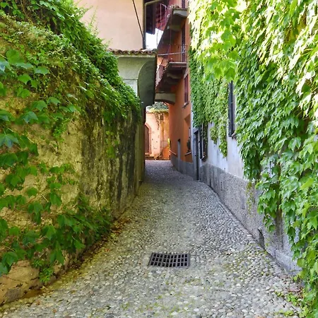 Apartment Pescallo *